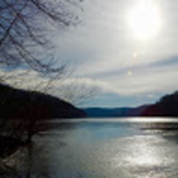 Meet your Posher, Denise - Picture 1 of 1